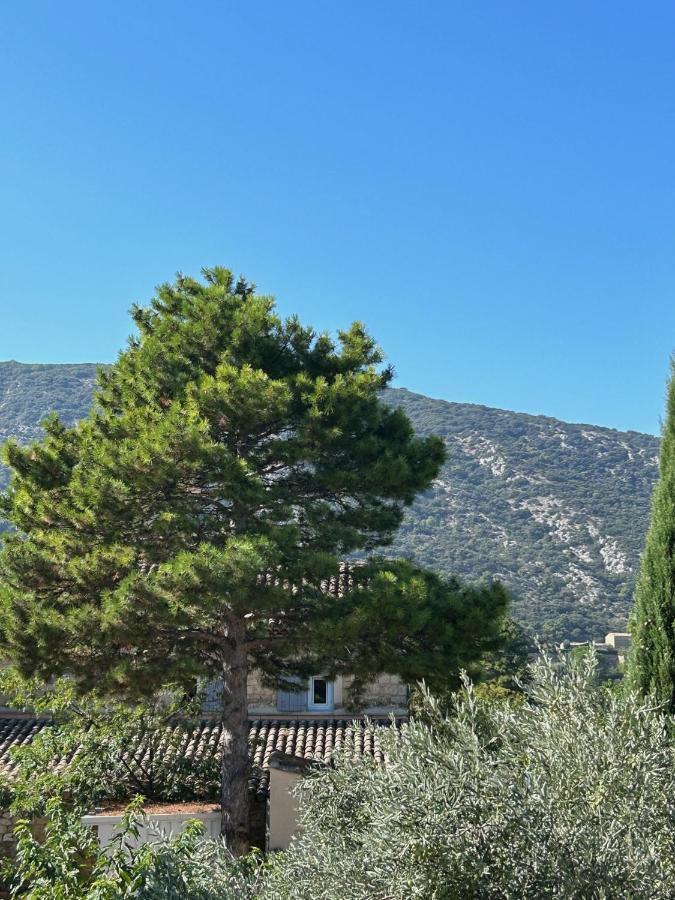 Privee Dans Un Mas Au Centre Du Village Homestay